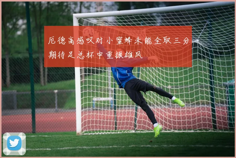 厄德高感叹对小蜜蜂未能全取三分期待足总杯中重振雄风
