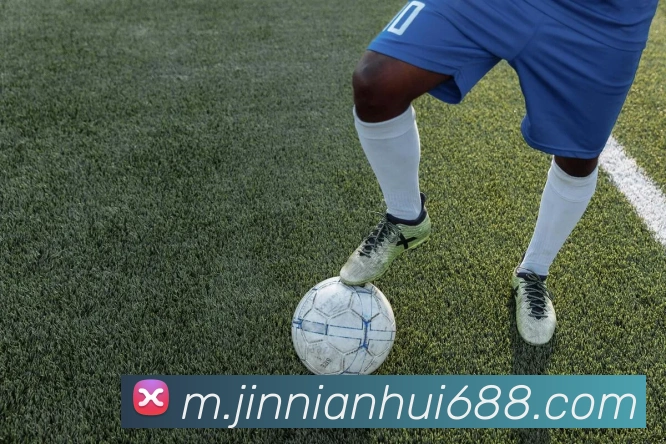 今年会官网平台生态图